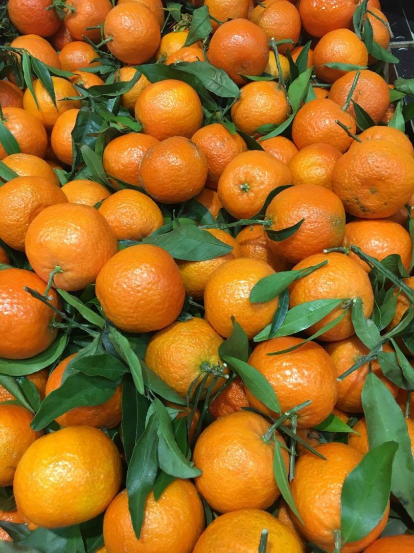 Le potager du cadram Clémentines